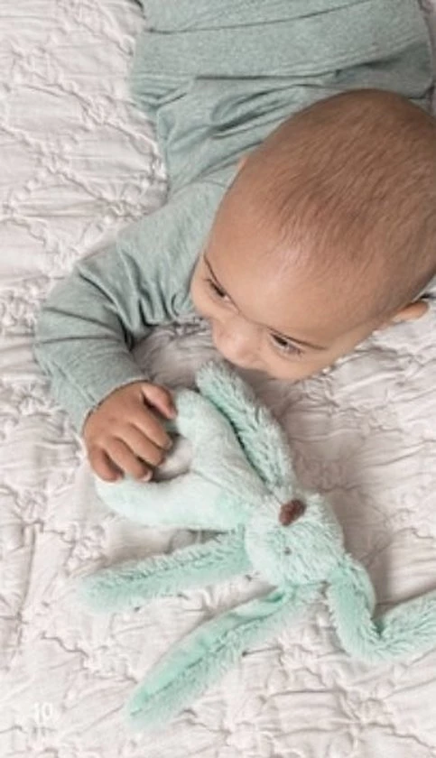 Happy Horse Konijn Richie Rammelaar - Lagoon Groen - Baby Cadeau 4 Happy Horse Konijn Richie Rammelaar - Lagoon Groen - Baby Cadeau - Afbeelding 2