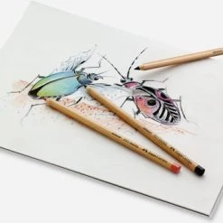 Faber-Castell - Compendium - Kleurpotloden - 54 St. - Kist Mahonie - FC-110084 -duurzamer-speelgoed Verkoop 550x355 6