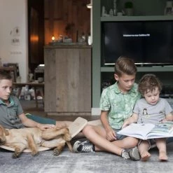 Wobbel - Original - Blank Gelakt Met Vilt - Grijs 21 Wobbel - Original - Blank Gelakt Met Vilt - Grijs -duurzamer-speelgoed Verkoop 550x365 5