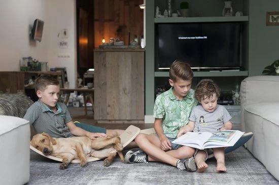 Wobbel - Original - Blank Gelakt Met Vilt - Grijs 7 Wobbel - Original - Blank Gelakt Met Vilt - Grijs - Afbeelding 5