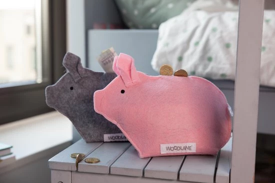 Woodlane Gerecyclede Spaarpot - Spaarvarken Roze 8 Woodlane Gerecyclede Spaarpot - Spaarvarken Roze - Afbeelding 6