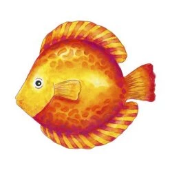 Faber-Castell Aquarelpotlood - Etui 24 Stuks + Penseel - FC-114425 -duurzamer-speelgoed Verkoop 550x486 17