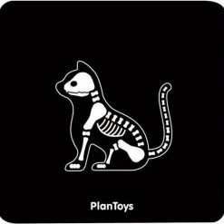 Plantoys Set Dierenarts -duurzamer-speelgoed Verkoop 550x539