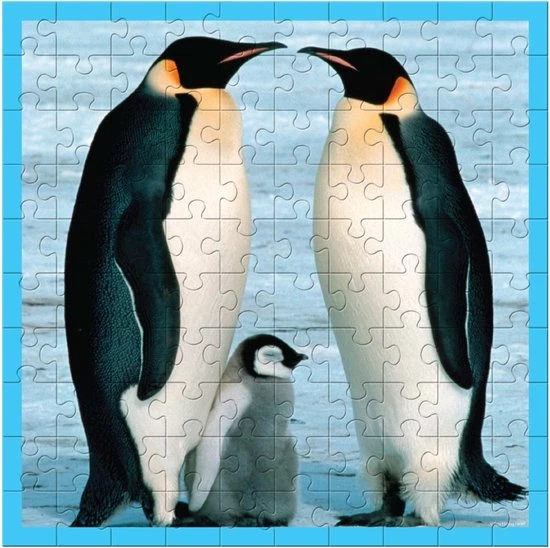 Wereld Natuur Fonds WWF Puzzel - Baby Pinguïn - 100 Stukjes 4 Wereld Natuur Fonds WWF Puzzel - Baby Pinguïn - 100 Stukjes - Afbeelding 2