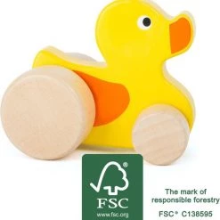 Small Foot Company Small Foot Push-along Eend -duurzamer-speelgoed Verkoop 550x572 6