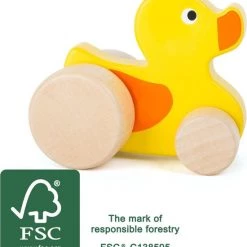 Small Foot Company Small Foot Push-along Eend -duurzamer-speelgoed Verkoop 550x612 1